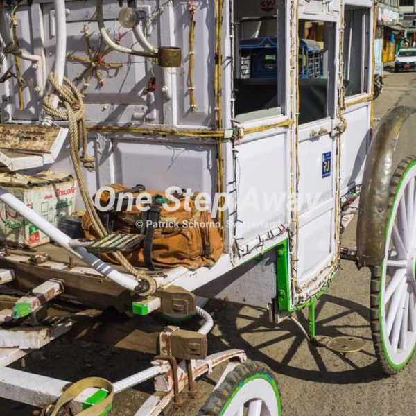 Myanmar - Pyin U Lavin / white horse buggy, weisse Kutsche
