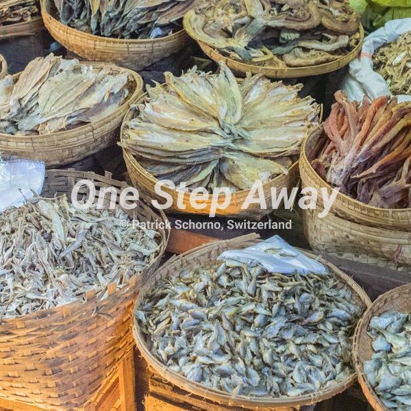 Myanmar - Bagan / Market Ngoung U with dry fish baskets, mit getrockneten Fischen in Körben