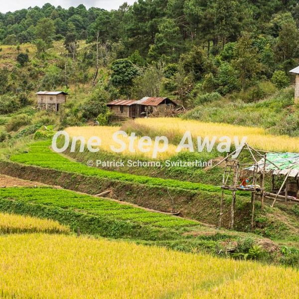 Myanmar - Kalaw / Hike rice terrace fields and huts, Wanderung Reis Terrassen und Hütten