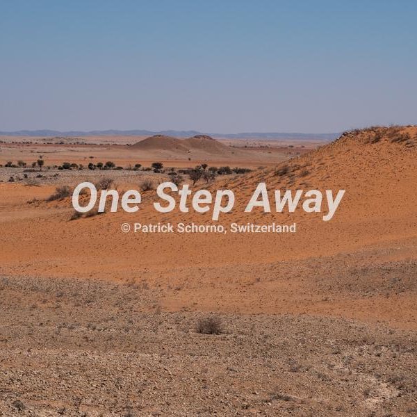 Namibia - Rooisand / Red sand hills, Rote Sand Hügel