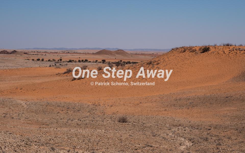 Namibia - Rooisand / Red sand hills, Rote Sand Hügel