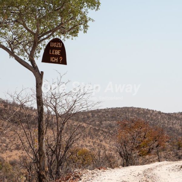 Namibia - Camp Aussicht / gravel road with life sign, Schotterstrasse mit Lebensschild