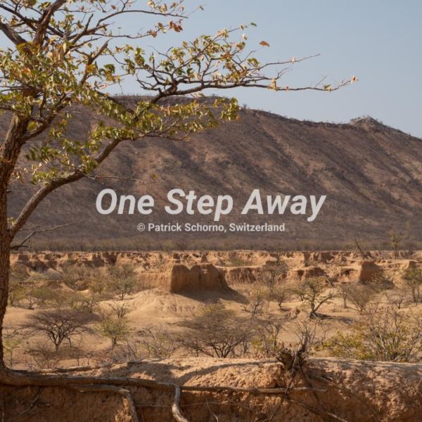 Namibia - close to,nähe Etosha NP / Single tree canyon hill background, einzelner Baum Lehmcanyon mit Berg Hintergrund