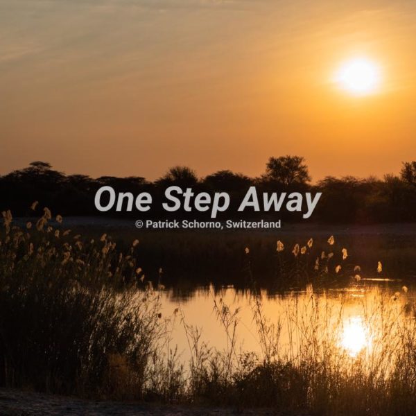 Namibia - Rundu / Sunset and reed at river Cubango, Sonnenuntergang und Schilf am Cubango Fluss