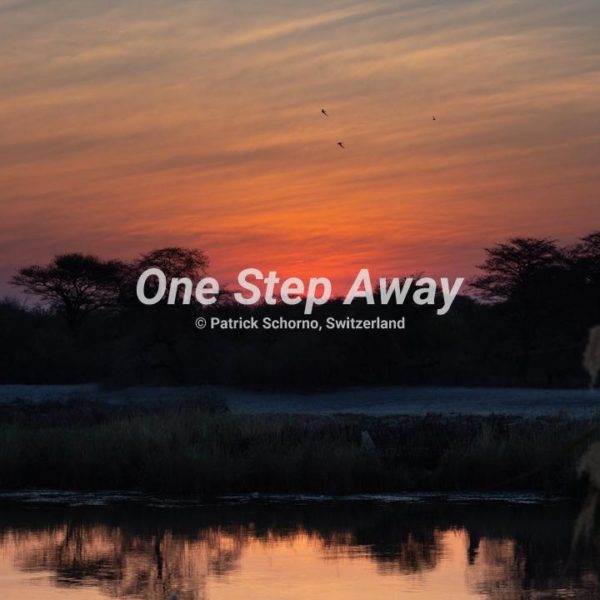 Namibia - Rundu / Sunset with riverbank, Sonnenuntergang mit Flussufer