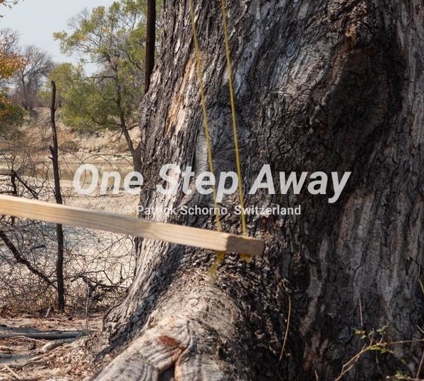 Botswana - Nata / Eselbe Backpacker Camp wooden swing trunk background, Holzschaukel mit Baumstamm Hintergrund