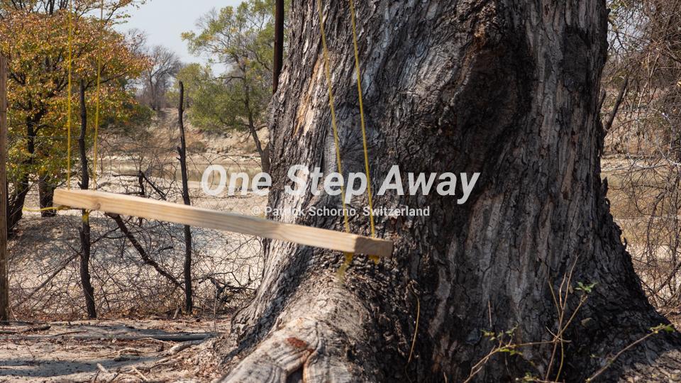 Botswana - Nata / Eselbe Backpacker Camp wooden swing trunk background, Holzschaukel mit Baumstamm Hintergrund