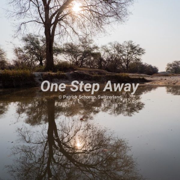 Botswana - Nata / Eselbe Backpacker Camp tree mirror, Baum Spiegelbild