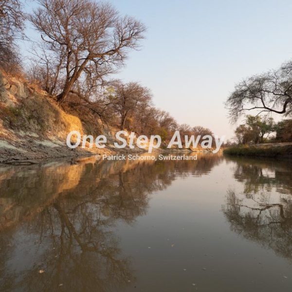 Botswana - Nata / Eselbe Backpacker Camp river bed with trees, Flussbett mit Bäumen