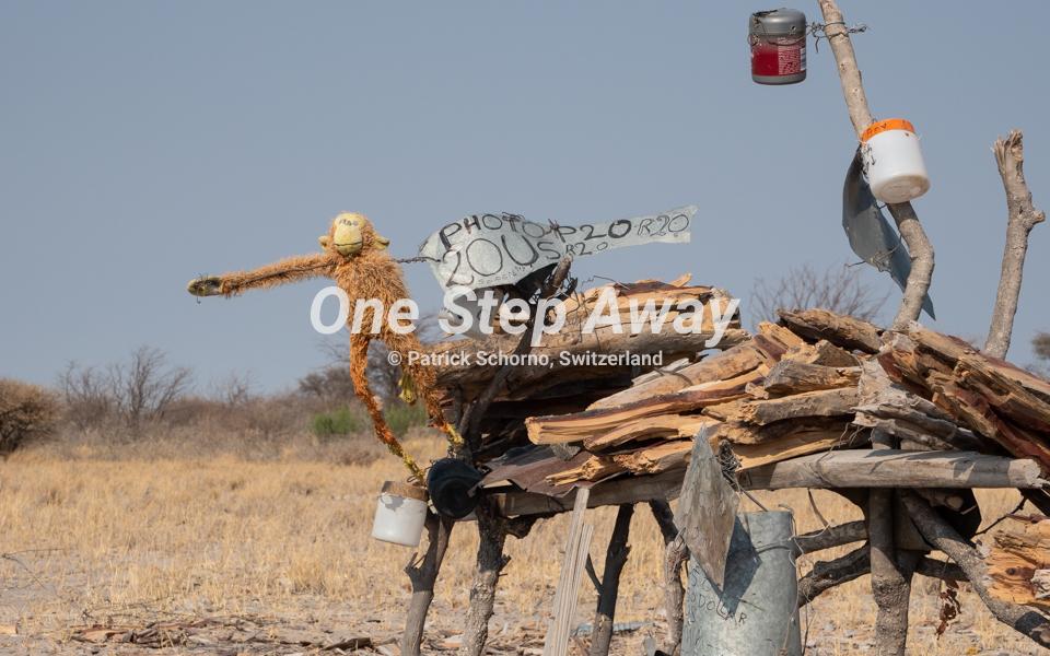 Botswana - way to Kubu island / wood for sale with monkey, Holz zum Verkaufen mit Affe