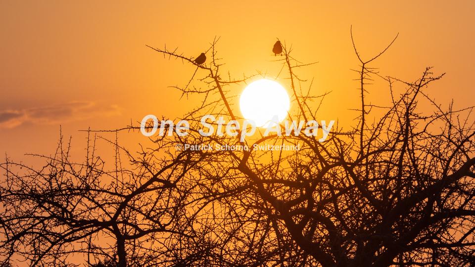 Botswana - Kubu island / sunset, Sonnenuntergang