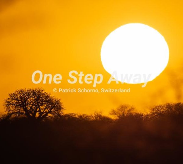 Botswana - Kubu island / sunrise, Sonnenaufgang