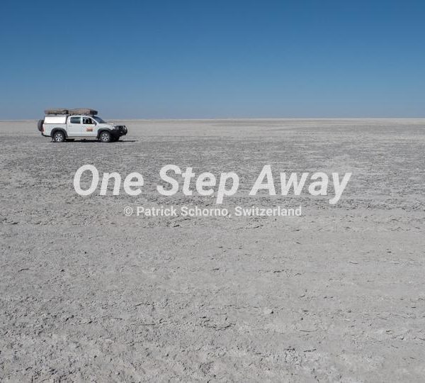 Botswana - Ntwetwe Pan / Salt pan pure, Salz Pfanne Pure