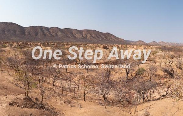 Namibia - close to,nahe Etosha / Sandstone valley landscape with trees and mountain background, Sandstein Tal Landschaft mit Bäumen und Berg Hintergrund