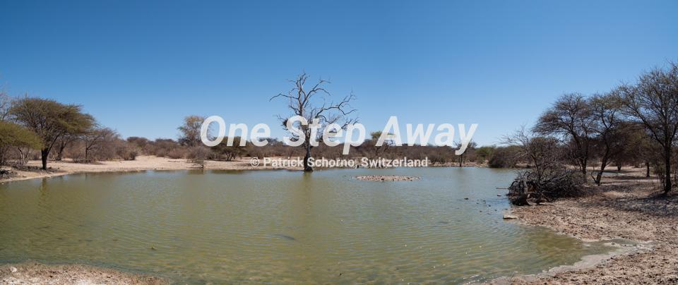Botswana - Ghanzi / Water whole at Ghanzi Dque Qare Game Farm, Wasserloch Farm